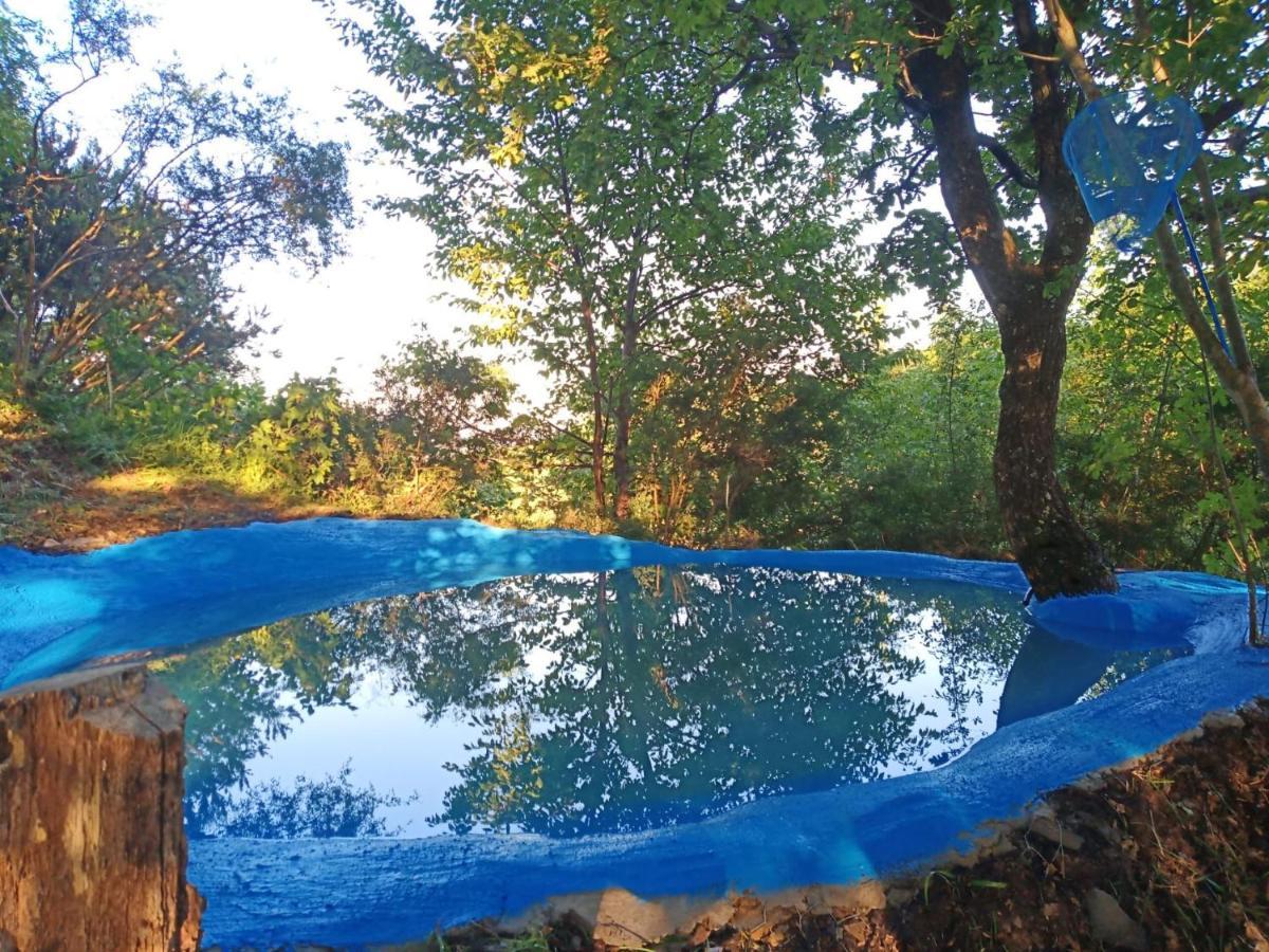 @Gatetothewild Bed & Breakfast Coreglia Ligure Eksteriør bilde