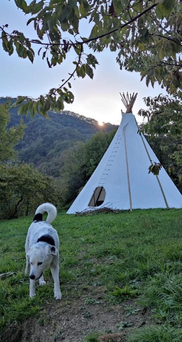 @Gatetothewild Bed & Breakfast Coreglia Ligure Eksteriør bilde